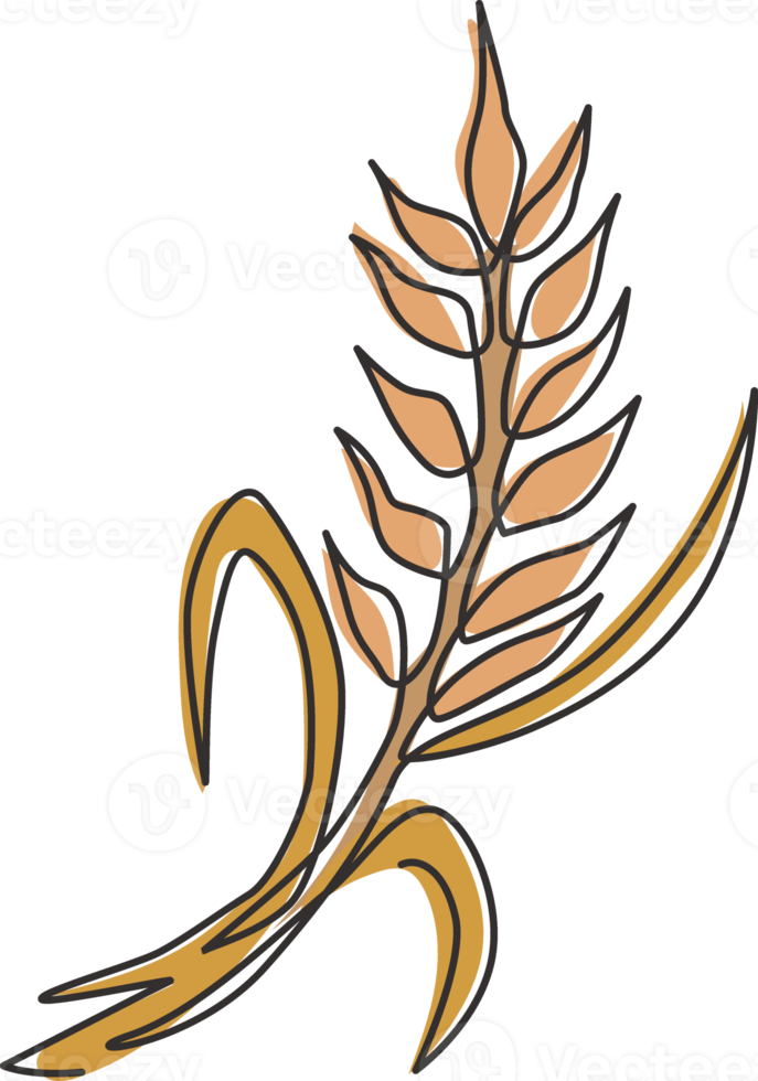 eine durchgehende Strichzeichnung von ganzem, gesundem Bio-Weizenkorn für die Identität des Farmlogos. Frisches Grundnahrungsmittelkonzept für Frühstückszerealienikone. moderne einzeilige Grafik-Draw-Design-Vektor-Illustration png