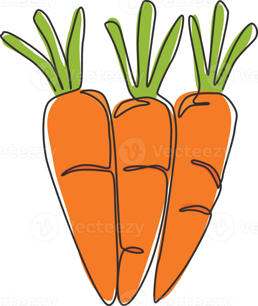 Eine einzige Linie, die einen ganzen gesunden Bio-Karottenstapel für die Identität des Farmlogos zeichnet. Frisches zweijähriges Pflanzenkonzept für Wurzelgemüse-Symbol. moderne durchgehende Linie zeichnen Design-Grafik-Vektor-Illustration png