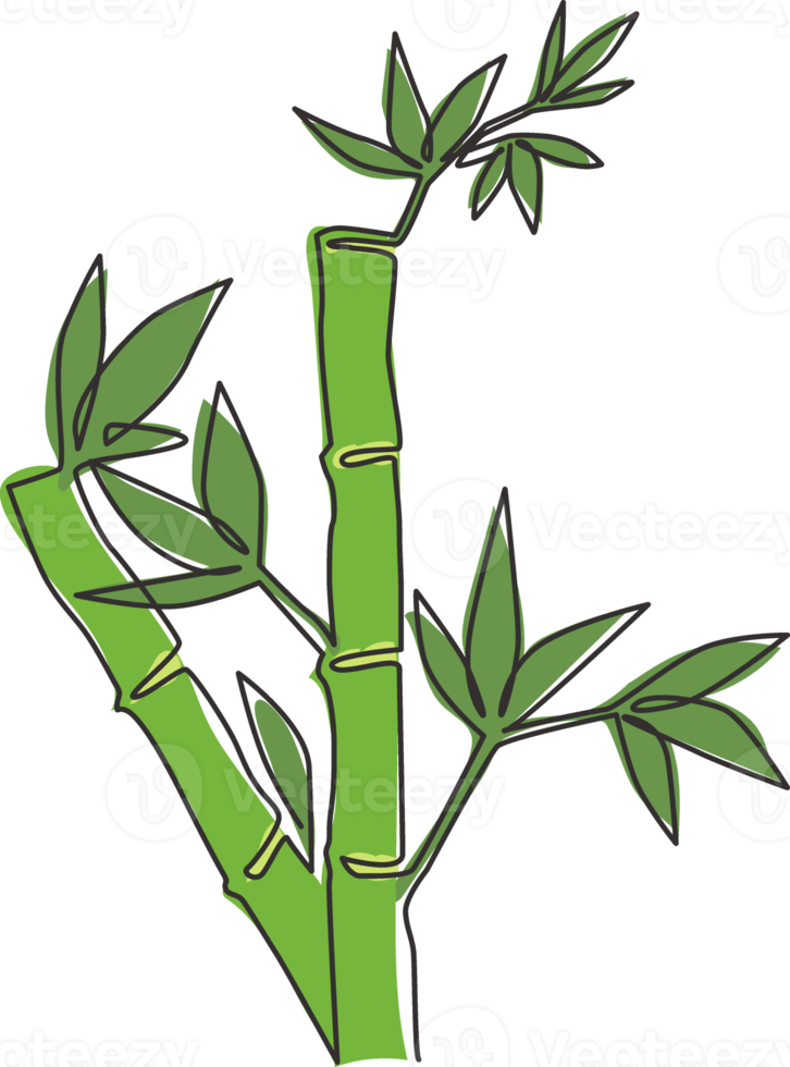 Single continuous line drawing of bamboo trees for plantation logo identity. Fresh evergreen perennial flowering plant concept for plant icon. Modern one line draw graphic design vector illustration png