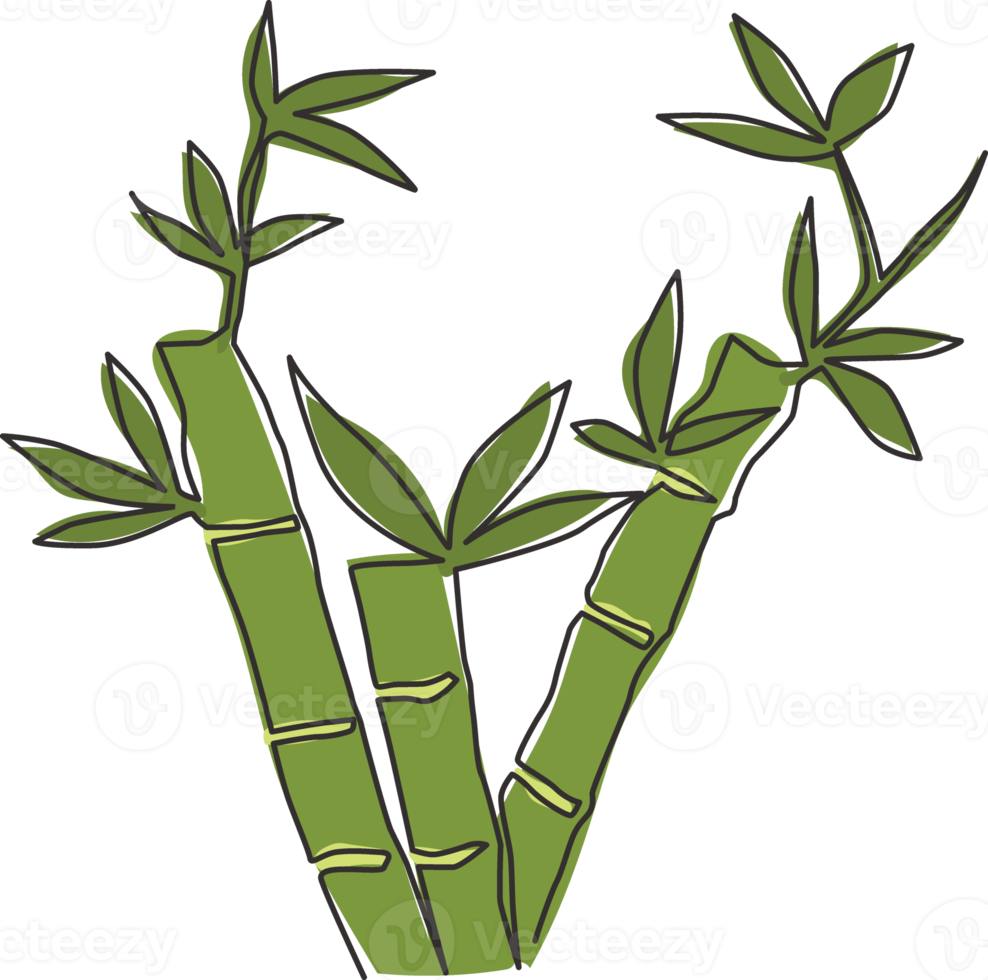 One continuous line drawing of bamboo trees for plantation logo identity. Fresh evergreen perennial flowering plant concept for plant icon. Modern single line draw design graphic vector illustration png
