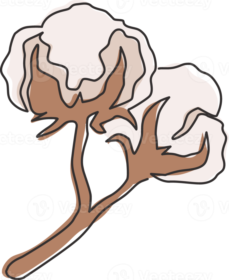 un dibujo de una sola línea de una flor de algodón suave y esponjosa para la identidad del logotipo agrícola. concepto de flor de fibra cortada para el icono del jardín. Ilustración gráfica de vector de diseño de dibujo de línea continua moderna png