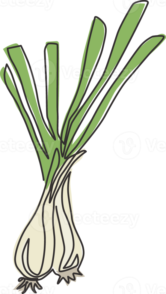 One single line drawing of whole healthy organic leek for plantation logo identity. Fresh ingredient concept for vegetable icon. Modern continuous line draw design vector graphic illustration png