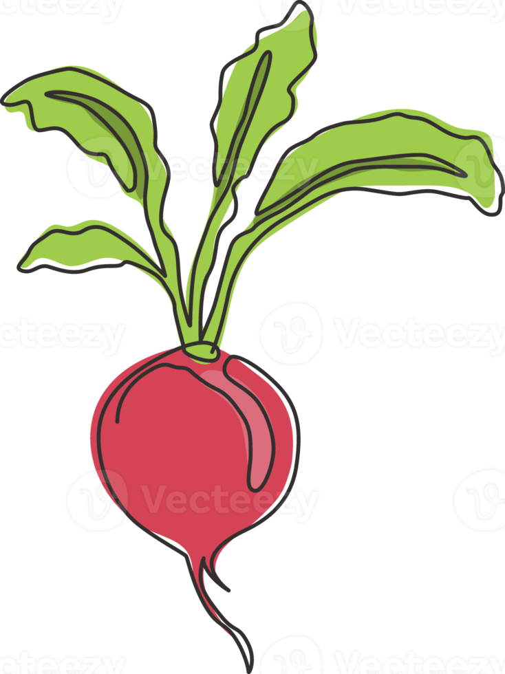 One single line drawing of whole healthy organic red radish for farm logo identity. Fresh crop concept for edible root vegetable icon. Modern continuous line draw design vector graphic illustration png