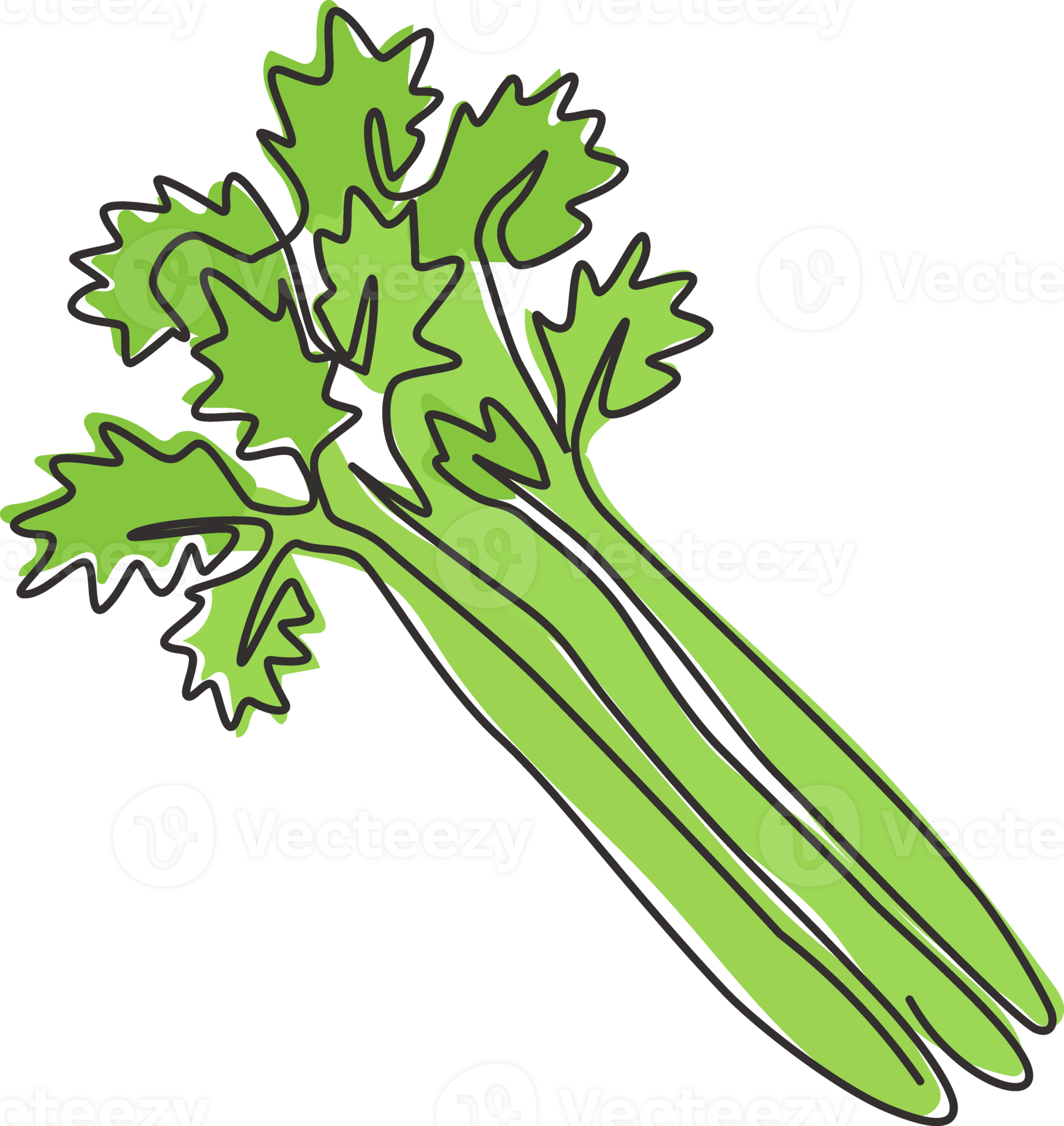 Single continuous line drawing of bunch healthy organic green celery