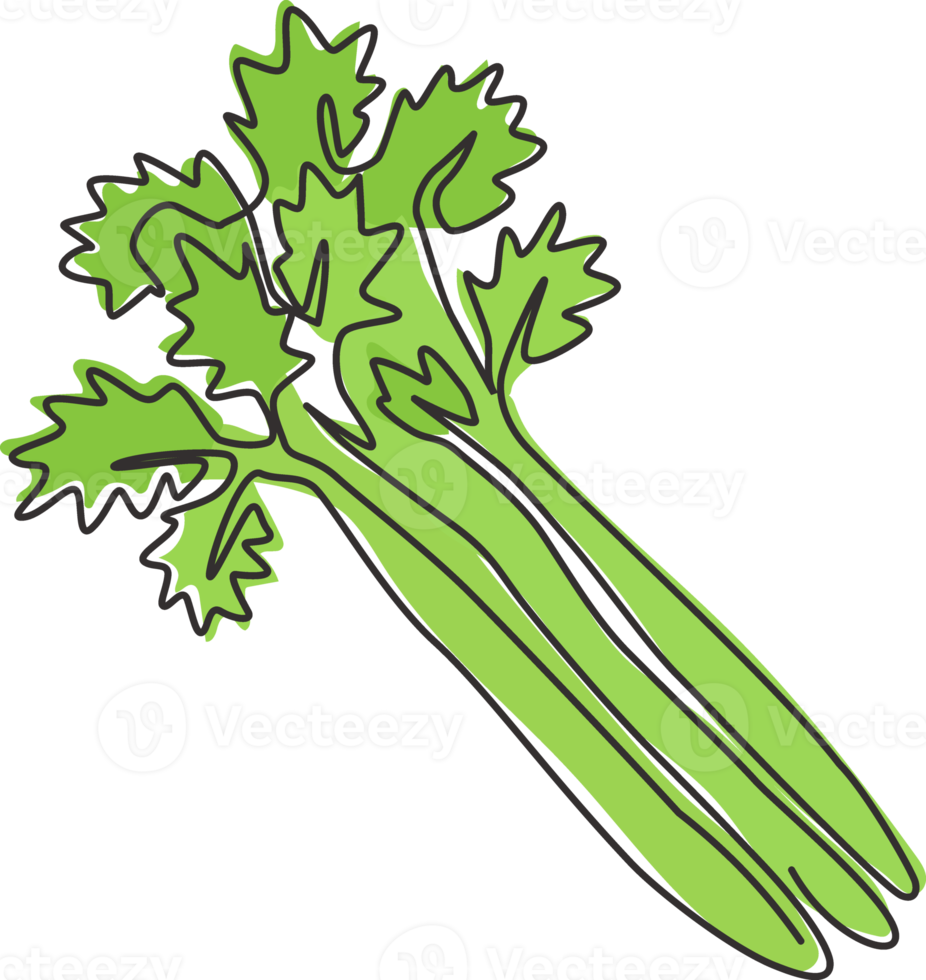 Single continuous line drawing of bunch healthy organic green celery for farm logo identity. Fresh marshland plant concept for vegetable icon. Modern one line draw design graphic vector illustration png