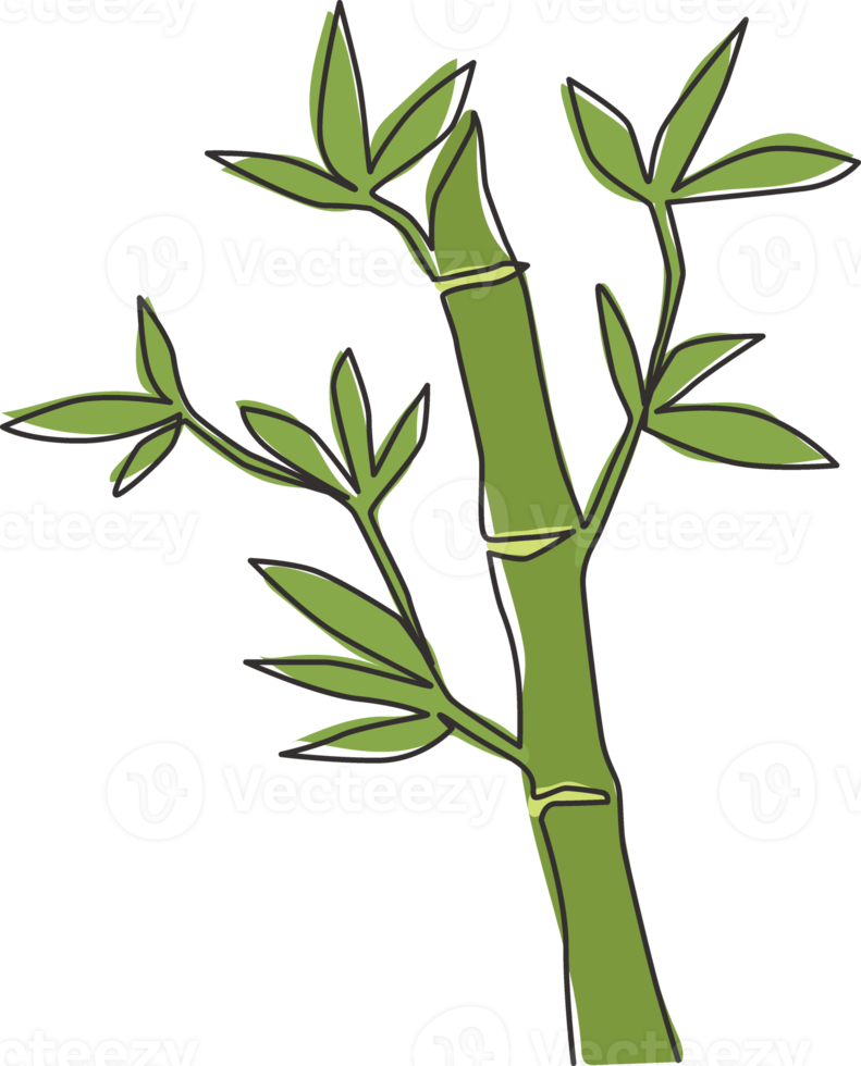 un dibujo de una sola línea de árboles de bambú para la identidad del logotipo de la plantación. concepto de planta con flores perennes de hoja perenne fresca para el icono de la planta. Ilustración de vector de diseño de dibujo gráfico de línea continua moderna png