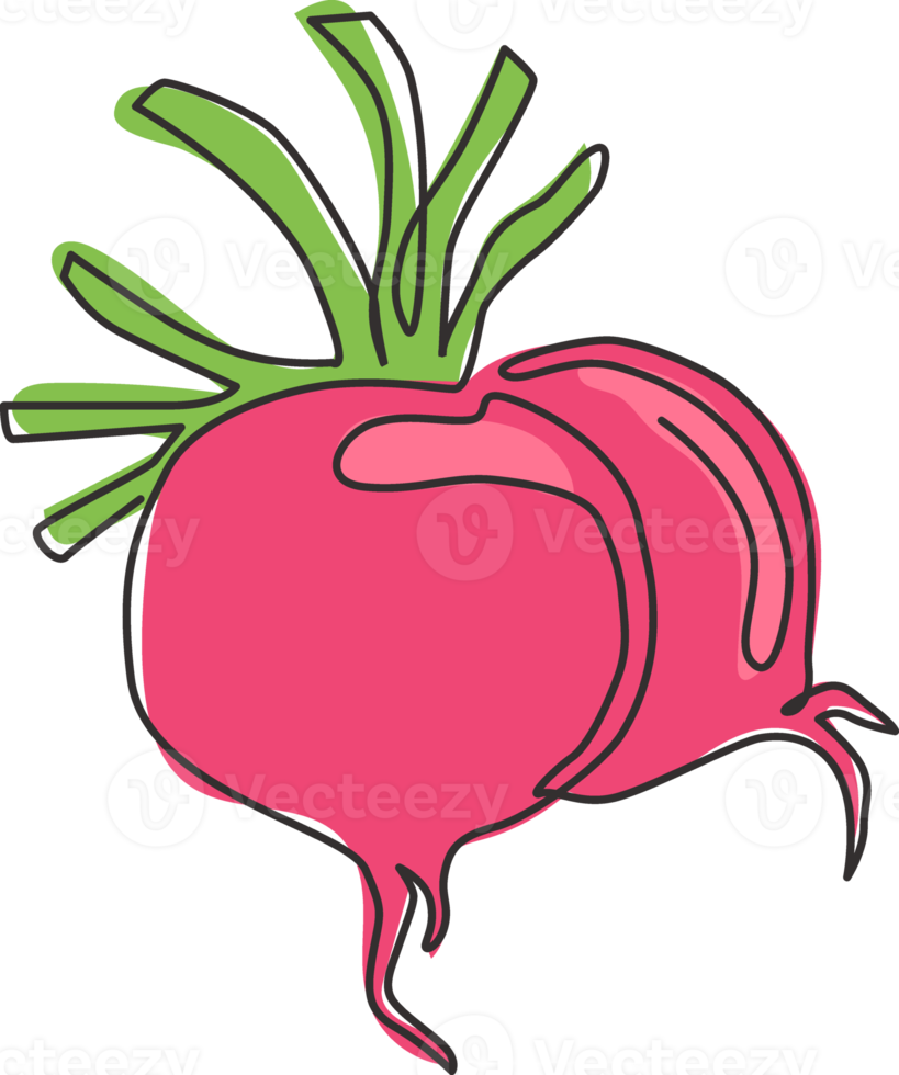 One continuous line drawing of whole healthy organic red radish for plantation logo identity. Fresh veggie concept for edible root vegetable icon. Modern single line draw design vector illustration png