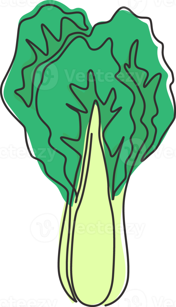 One continuous line drawing of whole healthy organic mustard green leaves for farm logo identity. Fresh mustard cabbage concept for vegetable icon. Modern single line draw design vector illustration png
