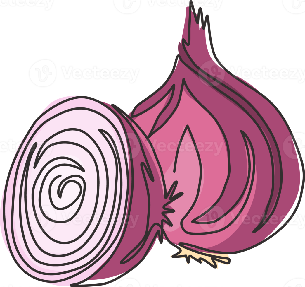 eine durchgehende Strichzeichnung von ganzen geschnittenen gesunden Bio-Zwiebeln für die Identität des Kräuterlogos. Frisch angebautes Gewürzkonzept für Gemüseikone. moderne Single-Line-Draw-Design-Vektor-Illustration png