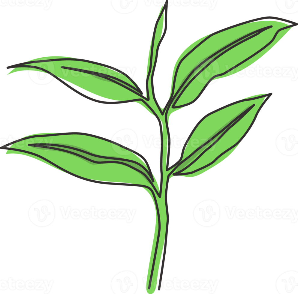 One single line drawing healthy organic tea leaves for plantation logo identity. Fresh tender bud of tea shoot concept for tea leaf icon. Modern continuous line draw design graphic vector illustration png