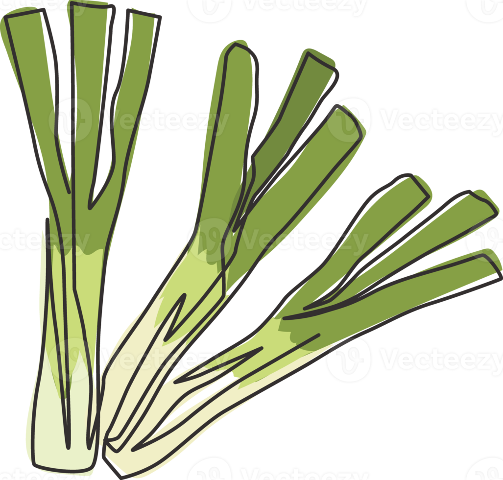 Single continuous line drawing of whole bunch healthy organic leek for farm logo identity. Fresh food seasoning concept for vegetable icon. Modern one line draw design vector graphic illustration png