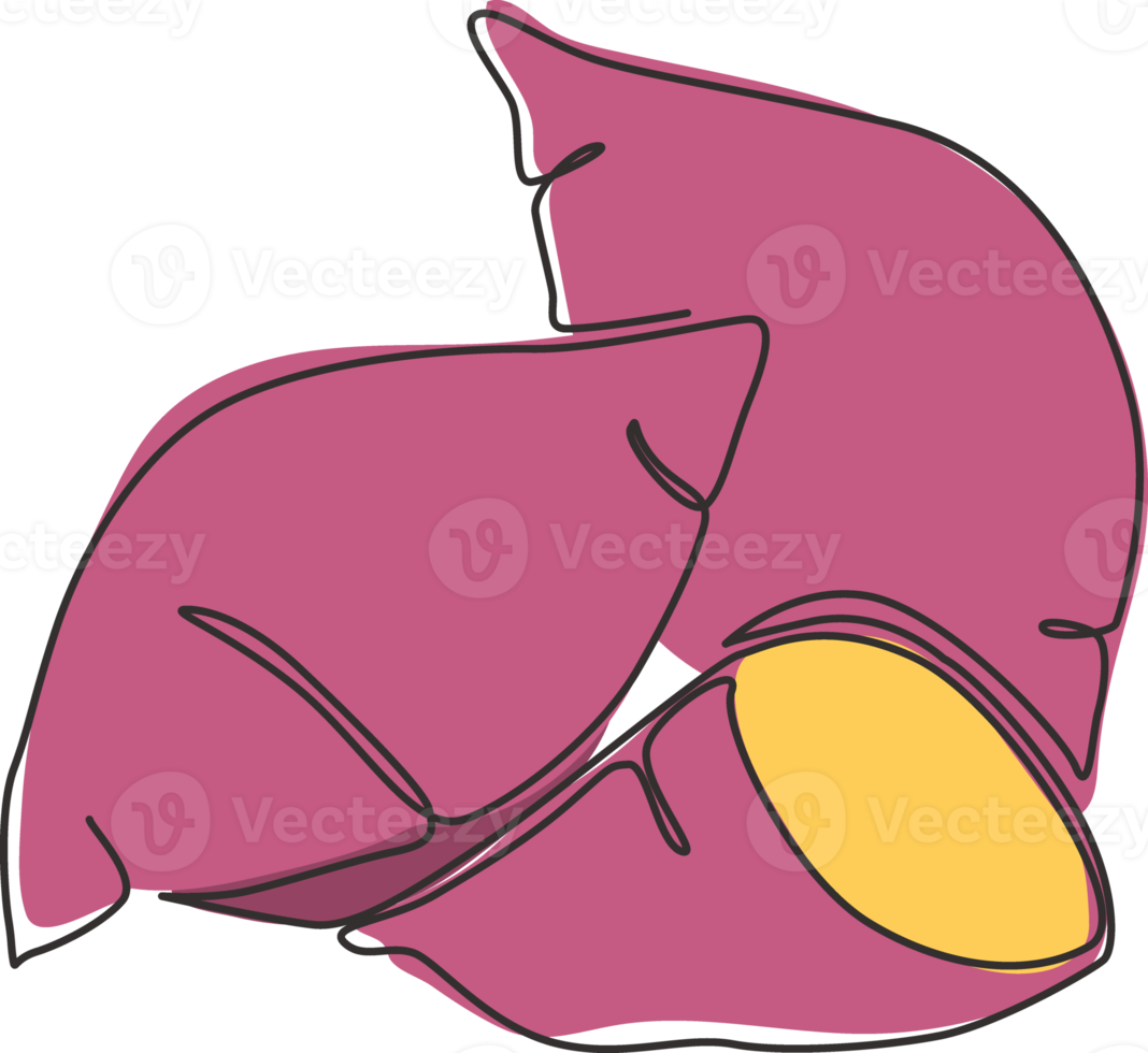 Single continuous line drawing whole healthy organic sweet potato for orchard logo identity. Fresh ipomoea batatas concept for botanically icon. Modern one line draw design vector graphic illustration png