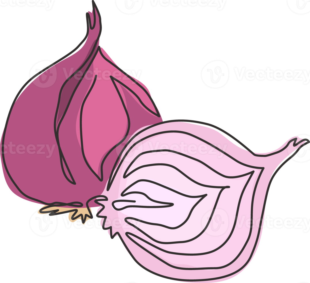 One single line drawing whole and sliced healthy organic bulb onion for farm logo identity. Fresh common onion concept vegetable icon. Modern continuous line draw design vector graphic illustration png