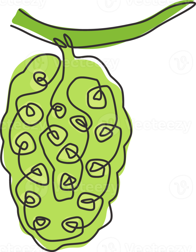 enkele doorlopende lijntekening hele gezonde biologische tropische noni voor de identiteit van het boomgaardlogo. vers fruit dragende boom concept voor tuin icoon. moderne één lijn tekenen ontwerp vector grafische afbeelding png