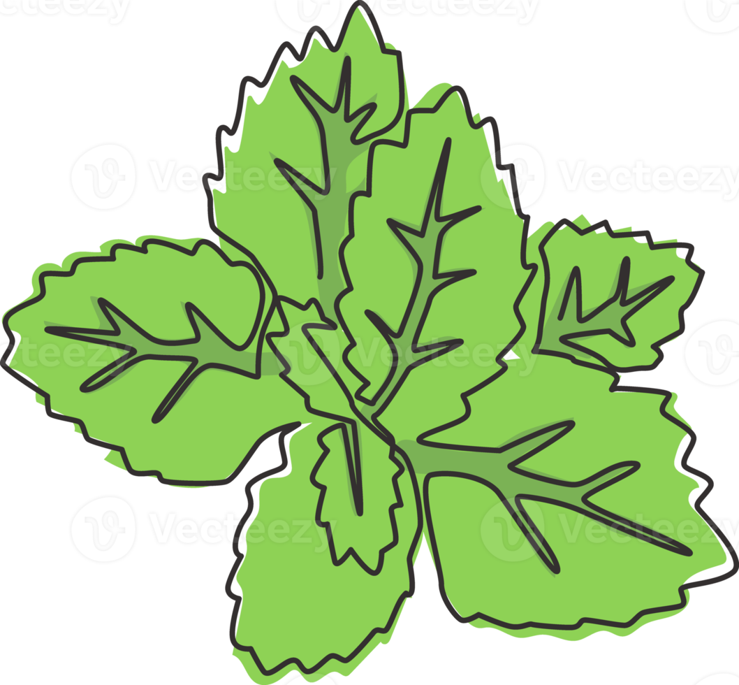 un seul dessin de feuilles de menthe biologique saine pour l'identité du logo de la ferme. concept de plante lamiacées fraîches pour l'icône de plantation. illustration vectorielle de ligne continue moderne dessin graphique png