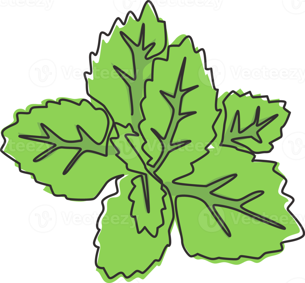 One single line drawing of healthy organic mint leaves for farm logo identity. Fresh lamiaceae plant concept for plantation icon. Modern continuous line graphic draw design vector illustration png