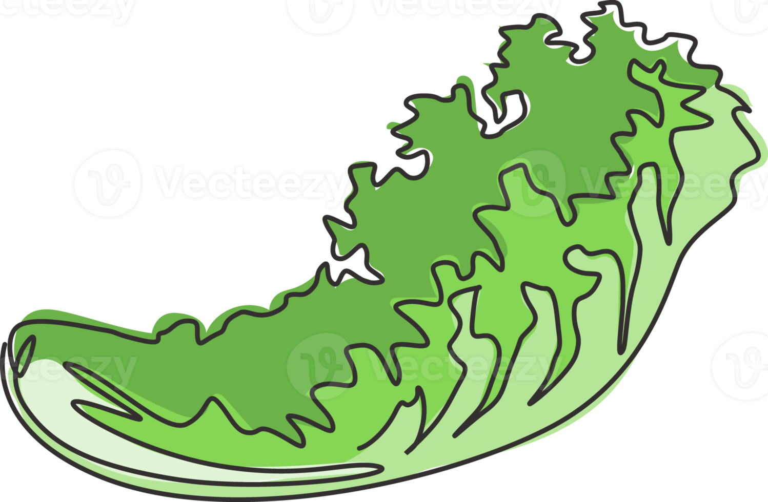 una linea continua che disegna un'intera foglia di lattuga verde biologica sana per l'identità del logo della fattoria. insalata fresca ingrediente concetto icona vegetale. illustrazione grafica vettoriale di design moderno a linea singola png