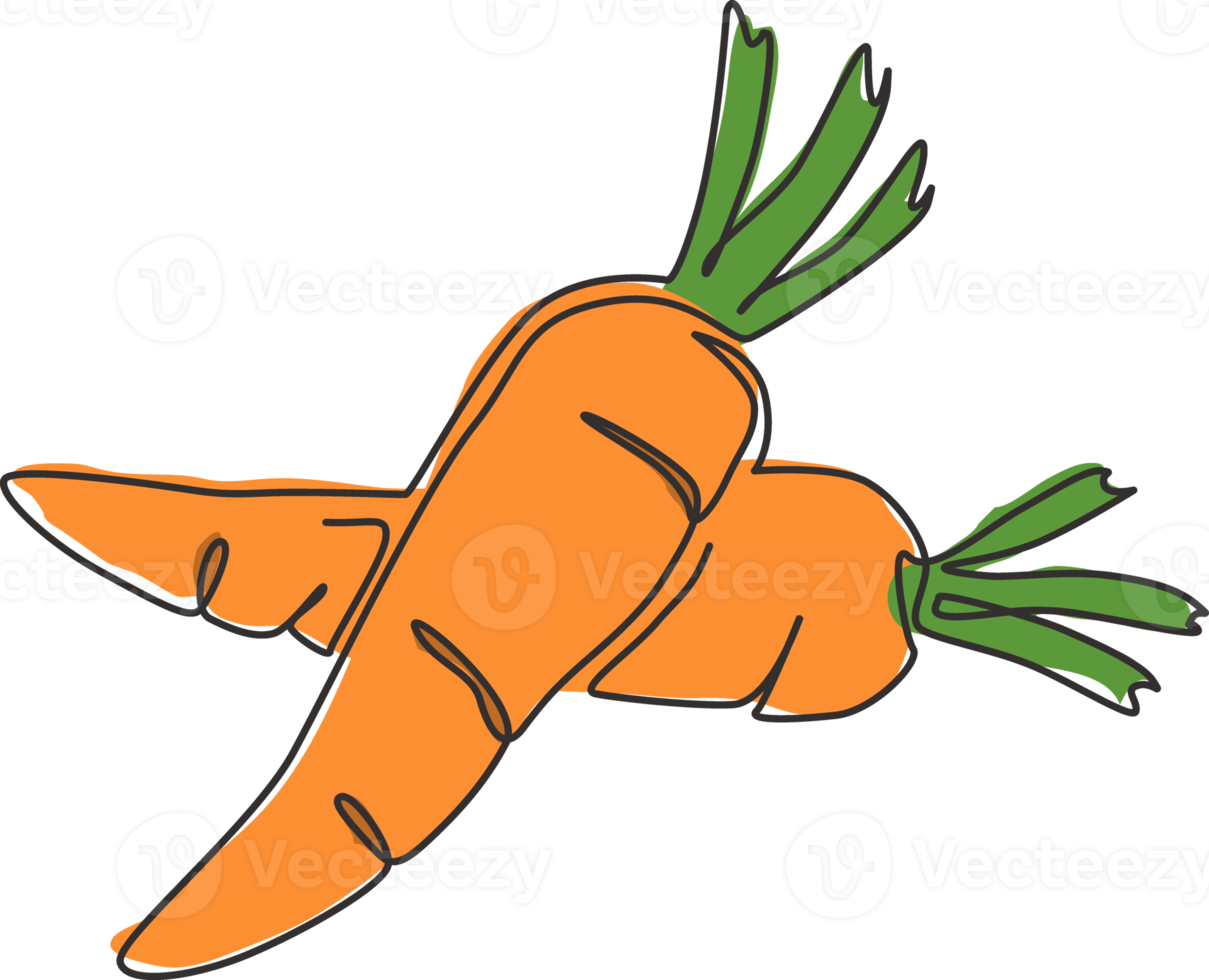 Single continuous line drawing whole healthy organic carrots heap for farm logo identity. Fresh biennial plant concept for root vegetable icon. Modern one line draw graphic design vector illustration png