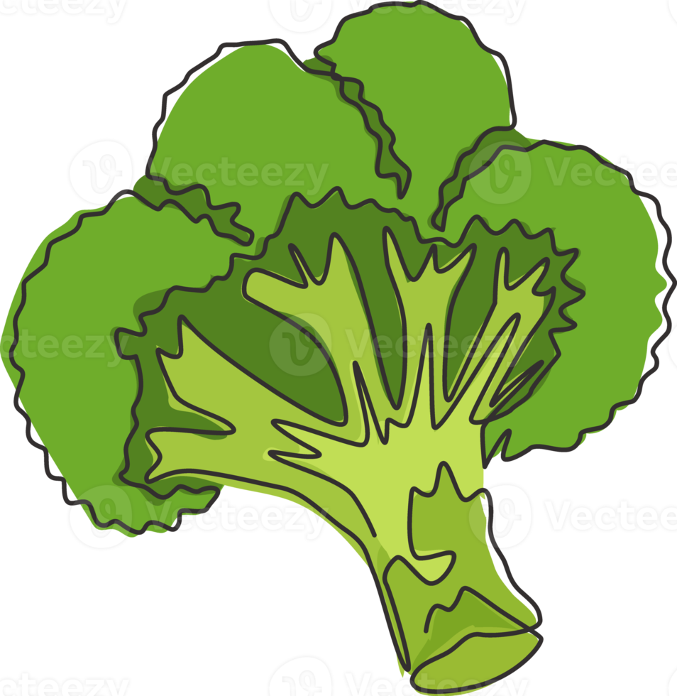 una sola línea de dibujo de brócoli verde orgánico y saludable para la identidad del logotipo de la granja. concepto de planta verde comestible fresca para icono vegetal. Ilustración gráfica de vector de diseño de dibujo de línea continua moderna png