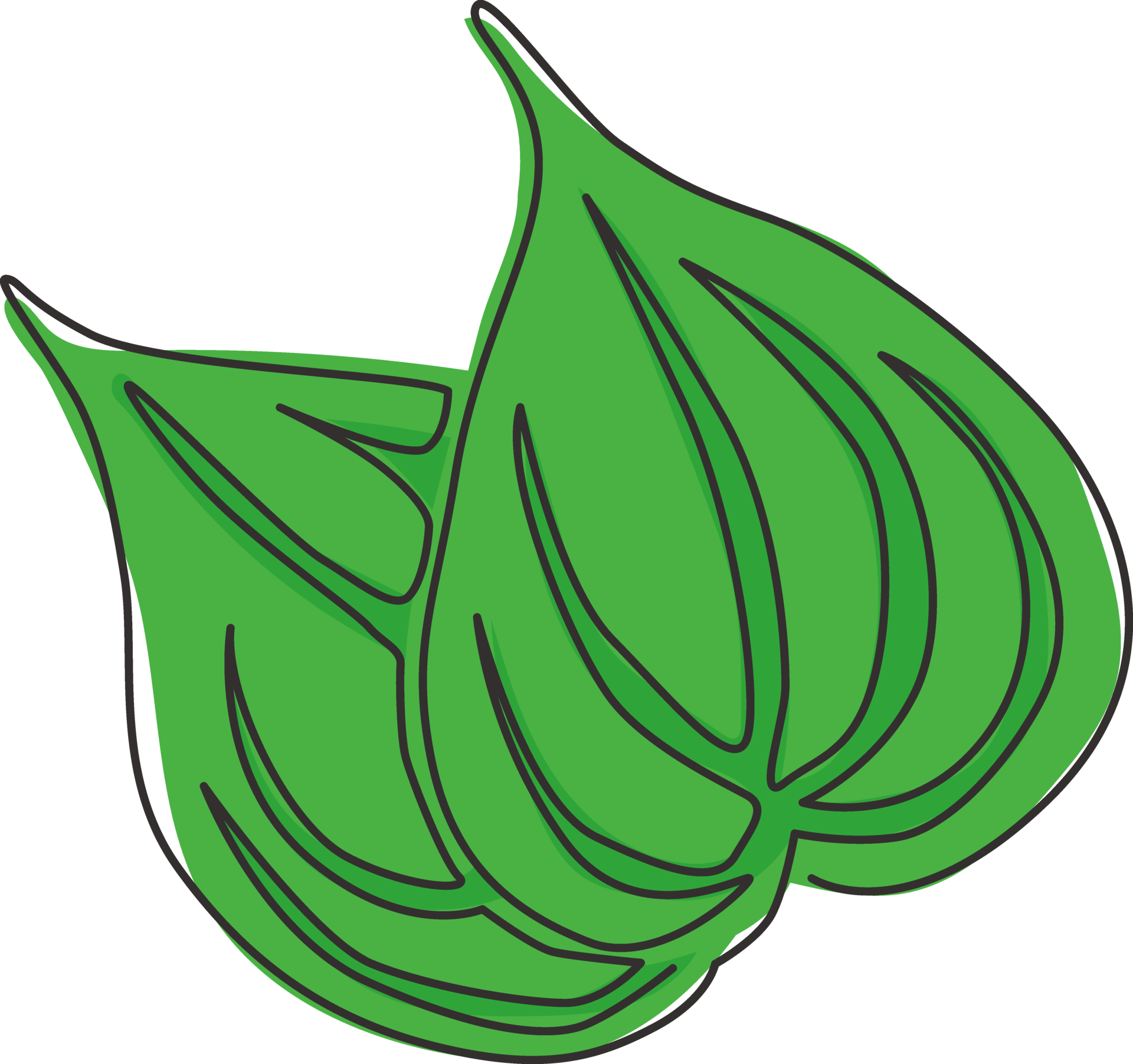 Dibujo De L nea Continua nica De Hoja De Betel Org nica Saludable En dibujo-de-l-nea-continua-nica-de-hoja-de-betel-org-nica-saludable-en