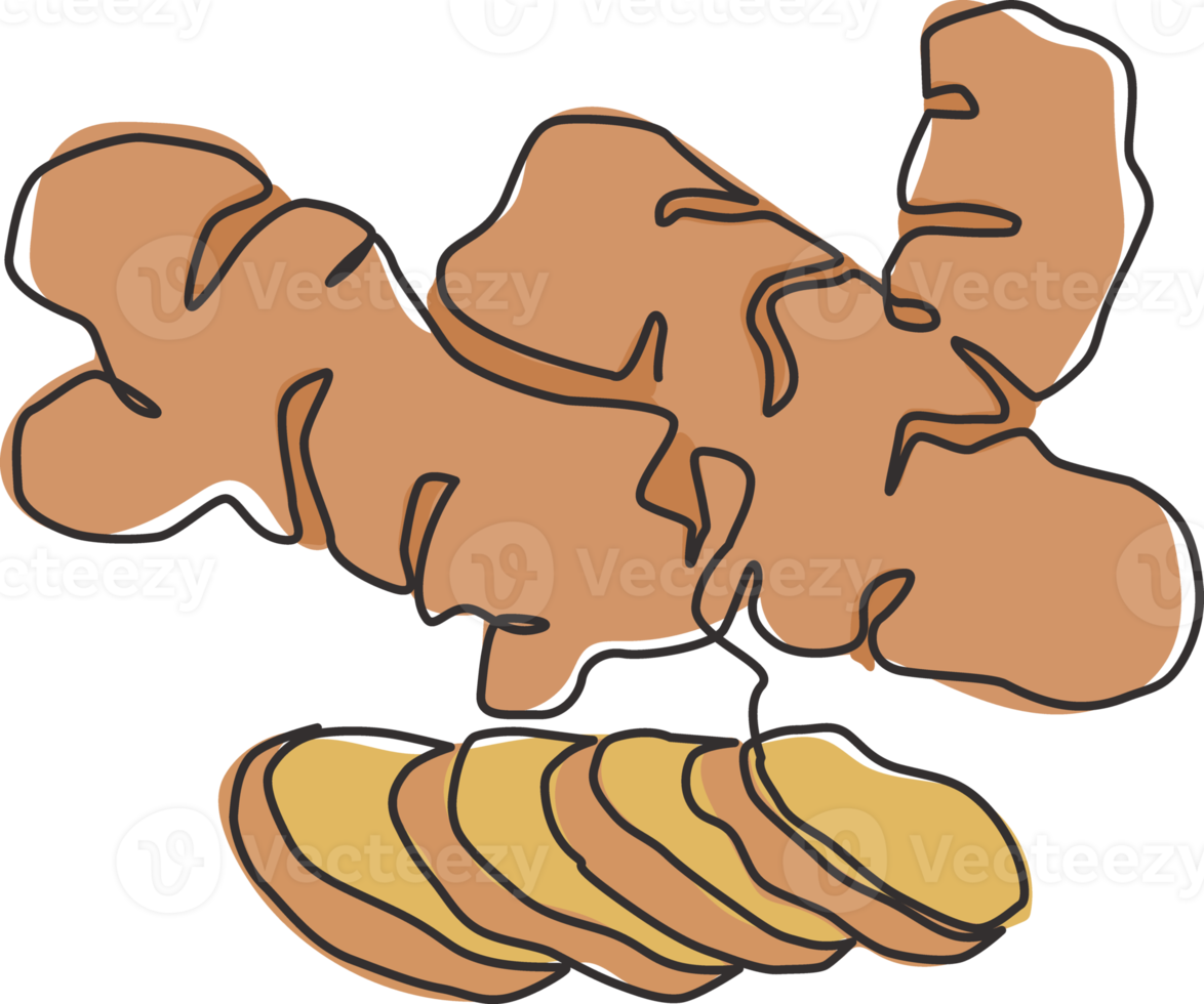 One continuous line drawing healthy organic ginger for farm logo identity. Fresh flowering plant rhizome concept herbaceous perennial icon. Modern single line draw design vector graphic illustration png