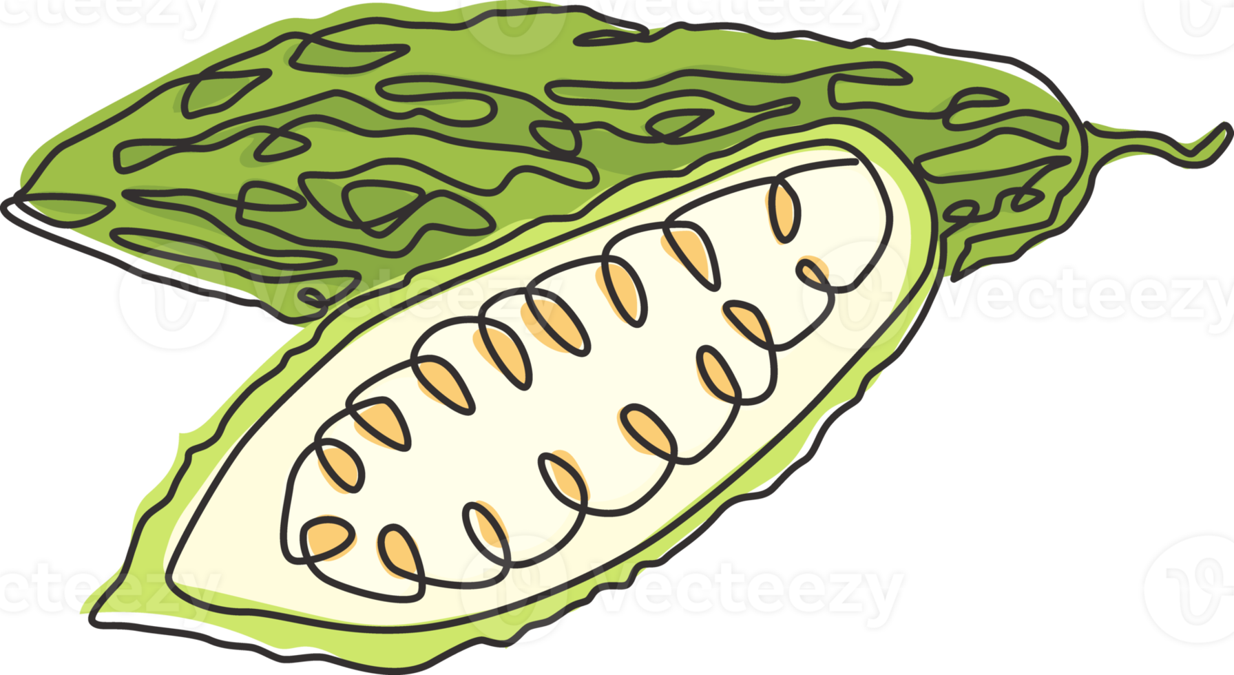 disegno a linea continua singola di zucca amara organica sana intera e affettata per l'identità del logo del giardino. concetto di pare indonesiano fresco per l'icona vegetariana. illustrazione vettoriale di design moderno a una linea di disegno png