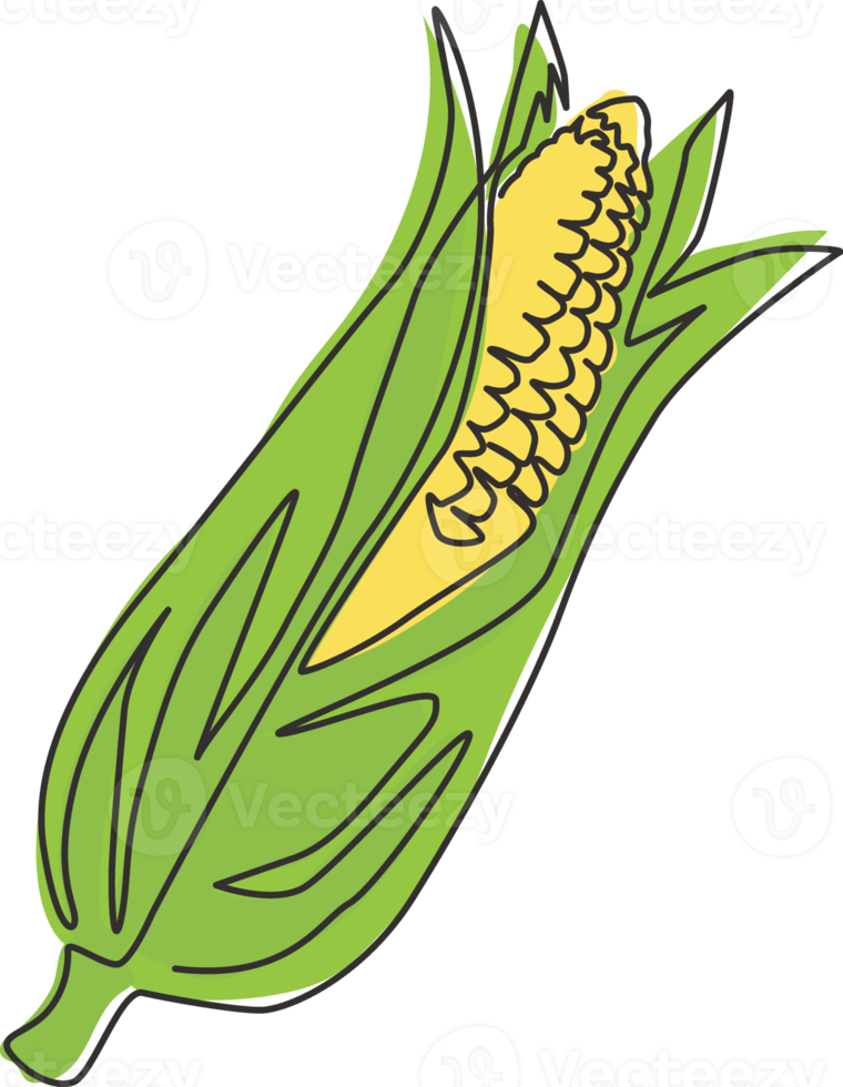 un dibujo de una sola línea de un cultivo de maíz orgánico sano y completo para la identidad del logotipo de la granja. concepto de maíz fresco para el icono de vegetales con almidón. Ilustración de vector de diseño gráfico de dibujo de línea continua moderna png