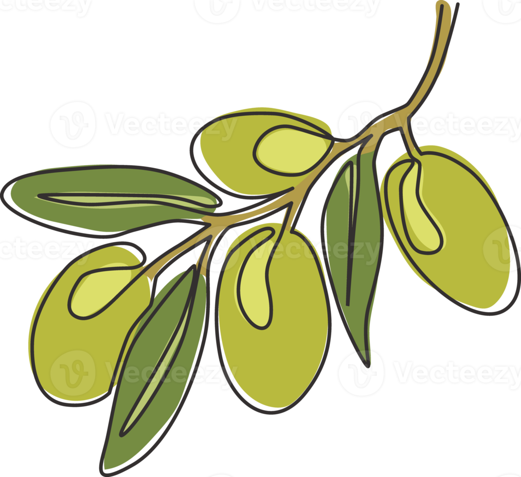 Single continuous line drawing of pile healthy organic olive fruit for orchard logo identity. Fresh core ingredients concept for fruit icon. Modern one line draw design graphic vector illustration png