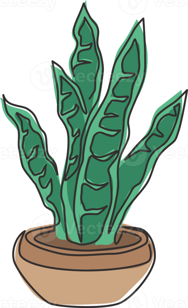 um desenho de linha contínua de uma planta de cobra em um vaso para a identidade do logotipo de decoração de casa. conceito de planta perene perene fresca para o ícone da planta. ilustração gráfica de vetor moderno desenho de linha única png