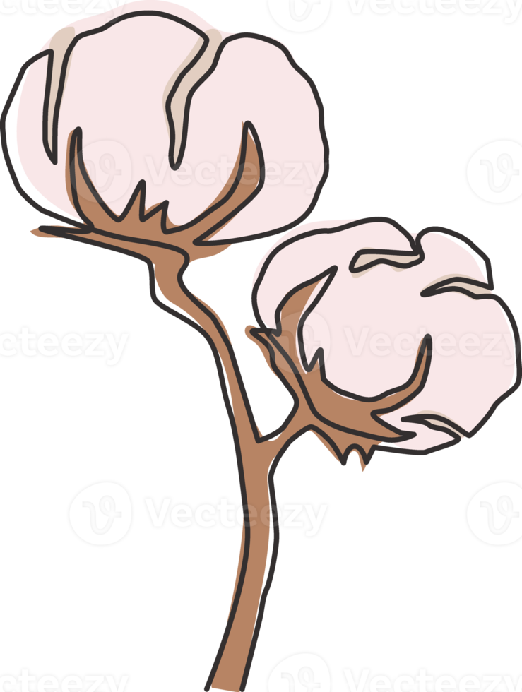 Single continuous line drawing of whole soft and fluffy cotton flower for farming logo identity. Staple fiber flower concept for garden icon. Modern one line draw design graphic vector illustration png