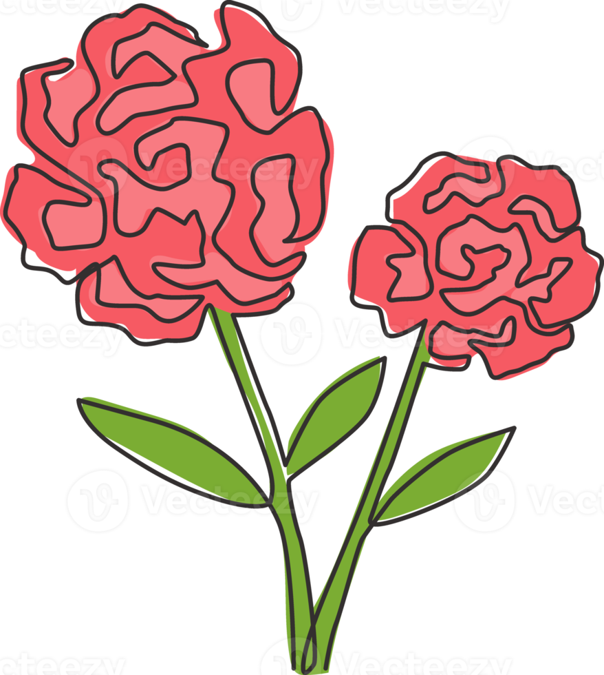 One continuous line drawing of beauty fresh carnation for home decor poster wall art. Printable decorative perennials dianthus flower for park icon. Modern single line draw design vector illustration png
