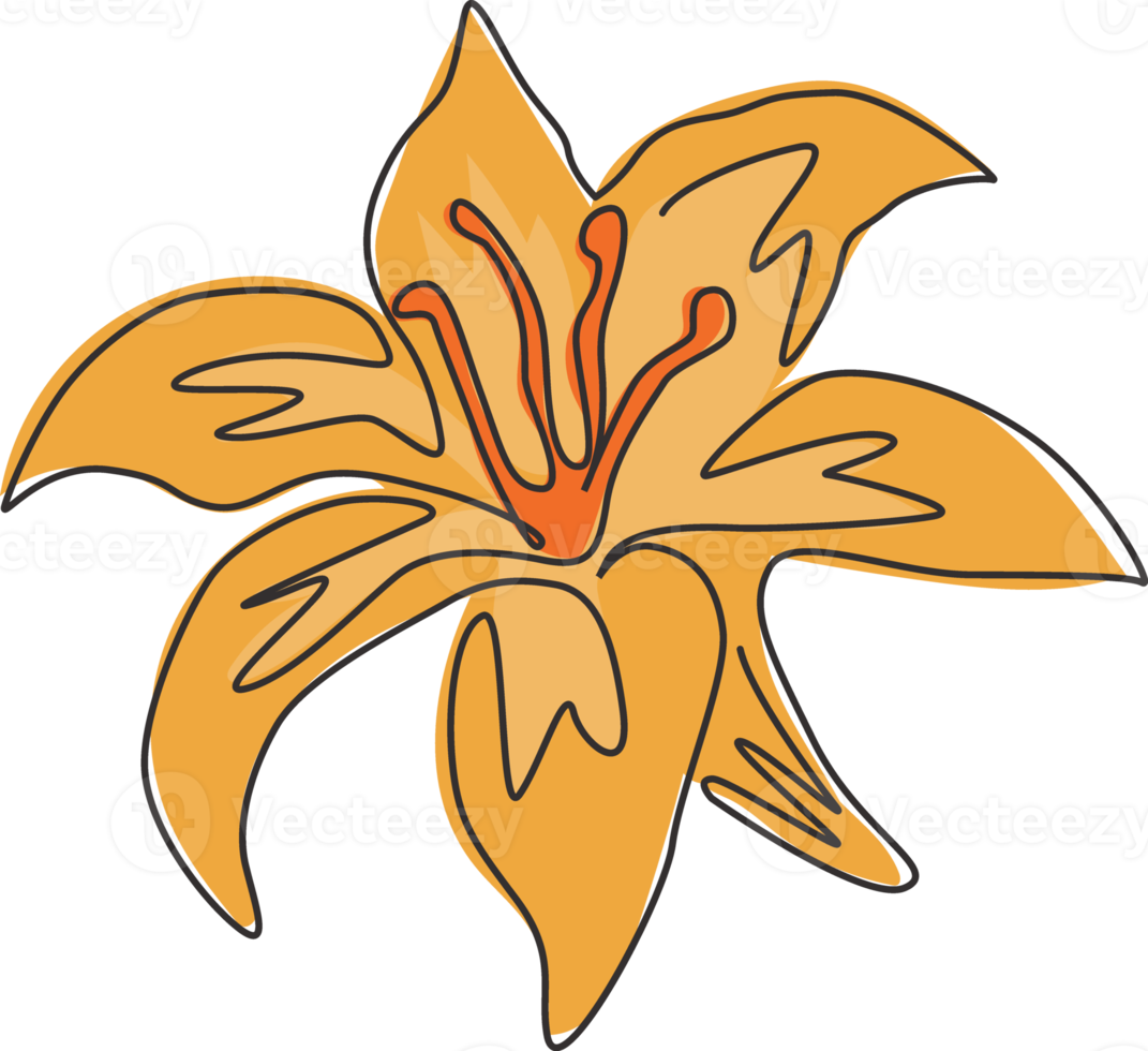 en kontinuerlig linjeteckning av skönhet färska perenner lilium för trädgård logotyp. utskrivbar dekorativ äkta liljor blomma för hem vägg dekor affisch. moderna en rad rita design vektorillustration png