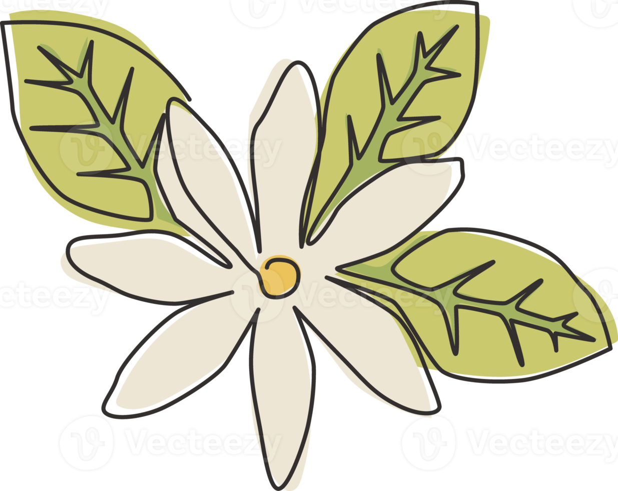 un dessin au trait unique de la beauté fraîche de la fleur de jasmin à feuilles caduques pour le logo de la boisson au thé. jasmin décoratif imprimable pour affiche de décoration murale. ligne continue moderne dessiner illustration vectorielle de conception png