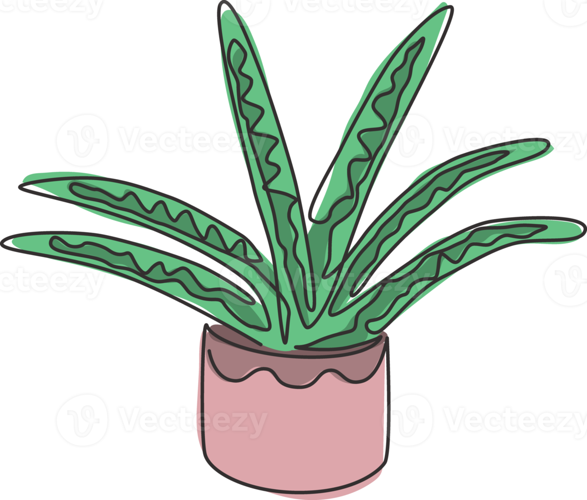 enkele doorlopende lijntekening van ingemaakte slangenplant voor de identiteit van het huisdecorlogo. vers groenblijvend meerjarig plantconcept voor plantpictogram. moderne één lijn tekenen ontwerp grafische vectorillustratie png