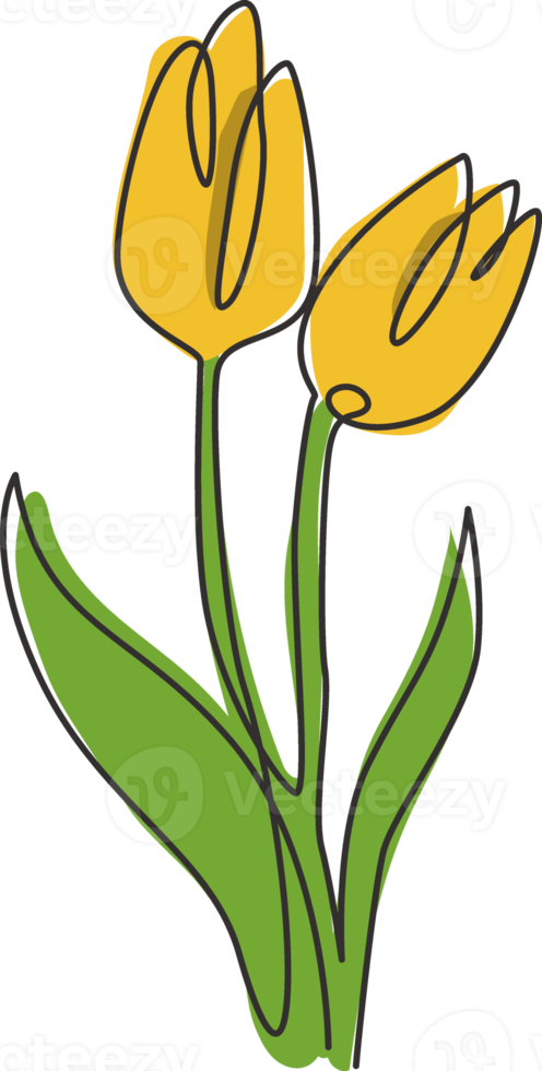 Eine einzige Strichzeichnung der Schönheit frischer Tulpe für das Logo. druckbares dekoratives holland-nationalitätsblumenkonzept für wandwohnkulturplakatkunst. moderne durchgehende Linie zeichnen Design-Vektor-Illustration png