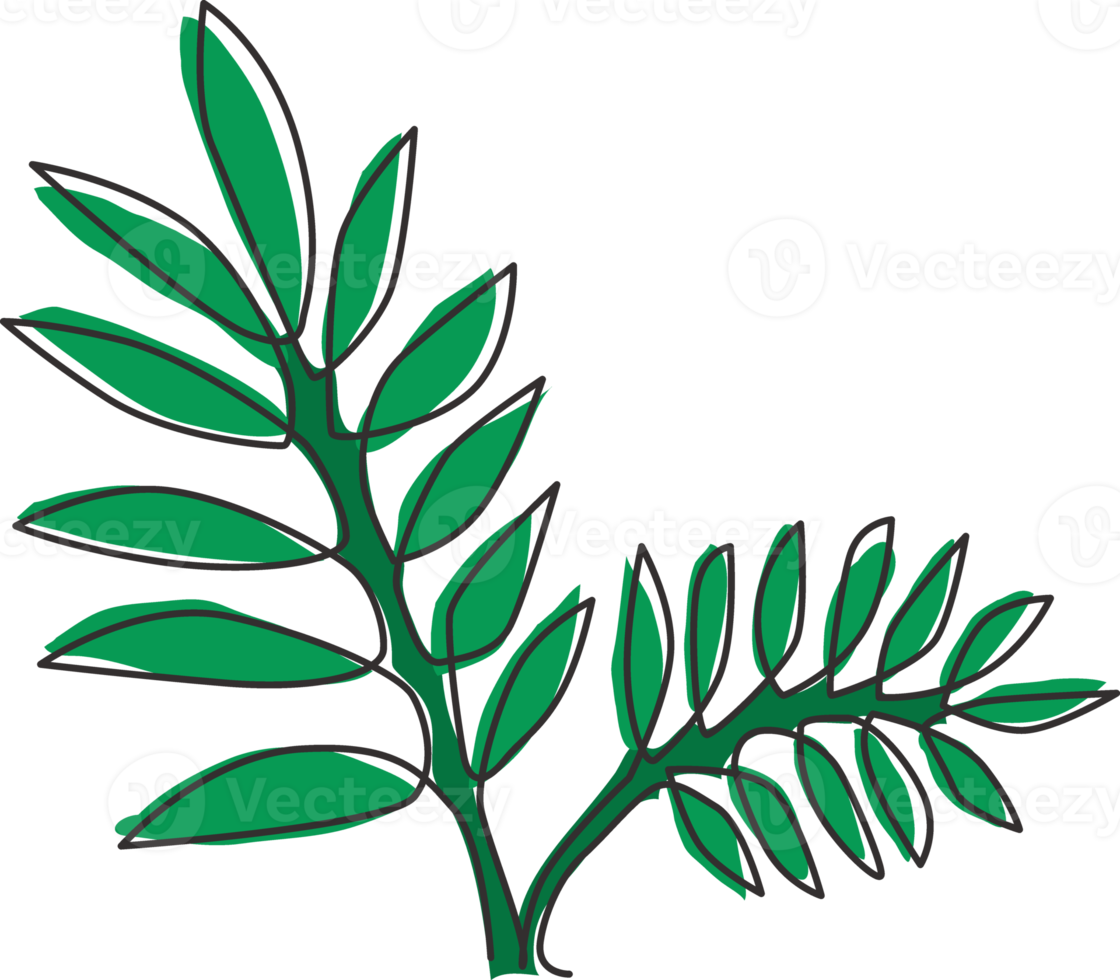 einzelne durchgehende Strichzeichnung tropischer Blätter Pflanze. druckbares Poster dekoratives Zimmerpflanzenkonzept für Heimwanddekor-Tapetenverzierung. moderne grafische vektorillustration des einlinienentwurfs png