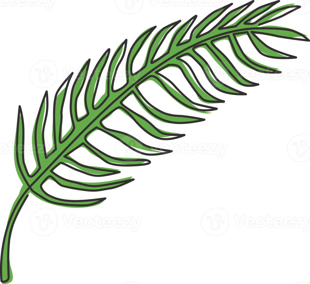 en enda radteckning tropisk blad ormbunke växt. utskrivbar affisch dekorativt krukväxtkoncept för hemväggdekor tapetprydnad. modern kontinuerlig linje rita grafisk design vektorillustration png