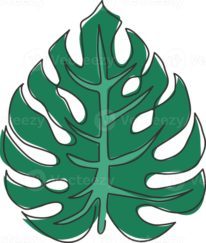 singola linea continua disegno pianta monstera foglia tropicale esotica. concetto di pianta d'appartamento decorativo stampabile per l'ornamento del poster della decorazione della parete di casa. illustrazione grafica vettoriale moderna di disegno di una linea di disegno png