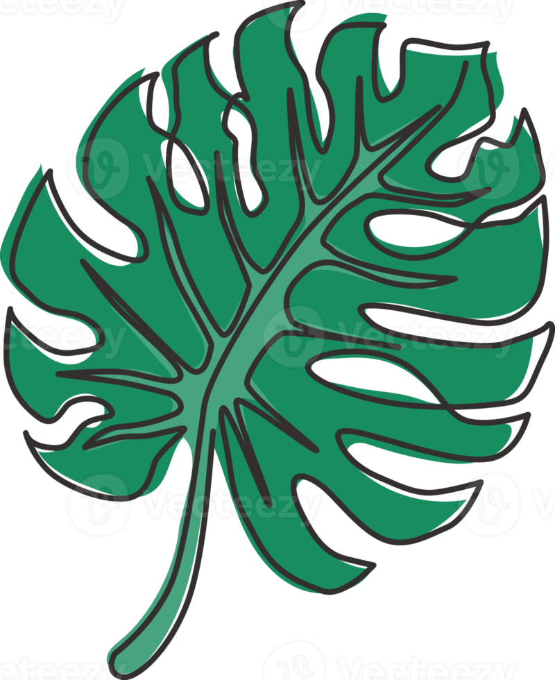 en kontinuerlig linjeteckning exotisk skönhet tropiska löv monstera växt. utskrivbart dekorativt krukväxtkoncept för hemväggsdekoration. moderna en rad rita design grafisk vektorillustration png