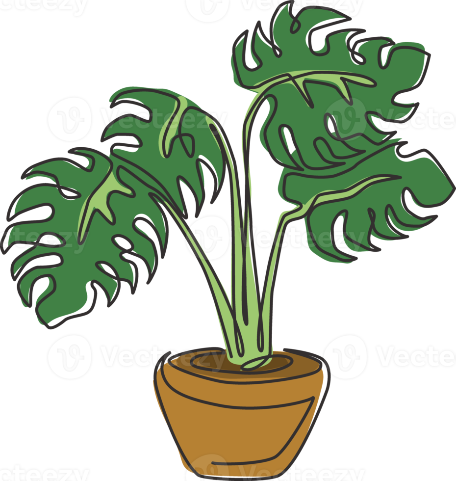 una sola línea de dibujo belleza planta monstera hoja tropical en maceta. Concepto de planta de interior decorativa imprimible para adorno de decoración de pared del hogar. Ilustración de vector de diseño de dibujo gráfico de línea continua moderna png