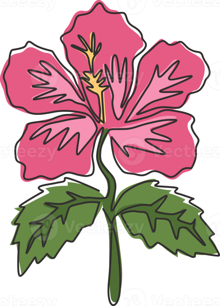 um único desenho de linha de hibisco fresco de beleza para logotipo de jardim. conceito de flor de malva rosa decorativo para cartaz de decoração de parede para casa. linha contínua moderna desenhar ilustração vetorial de design gráfico png