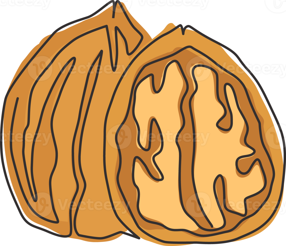 One continuous line drawing of whole healthy organic walnut food for plantation logo identity. Fresh nutshell concept for healthy seed icon. Modern single line draw design graphic vector illustration png