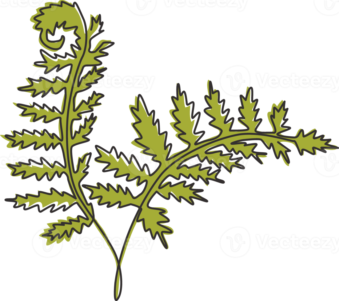 dessin au trait continu unique d'une plante de fougère à feuilles tropicales mignonnes. concept de plante d'intérieur exotique décorative imprimable pour l'ornement de décoration murale. Une ligne moderne dessiner illustration graphique vectorielle de conception png