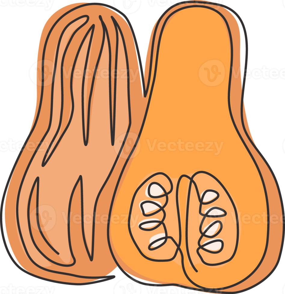 en enda linjeteckning av hel och skivad hälsosam ekologisk butternut squash för plantagelogotyp. färsk vinter pumpa koncept för grönsaksikonen. modern kontinuerlig linje rita design vektor png