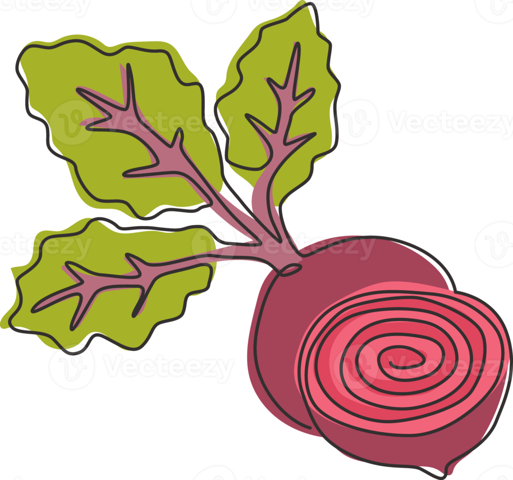 One single line drawing whole and half sliced healthy organic beetroot for farm logo identity. Fresh table beet concept vegetable icon. Modern continuous line draw design graphic vector illustration png