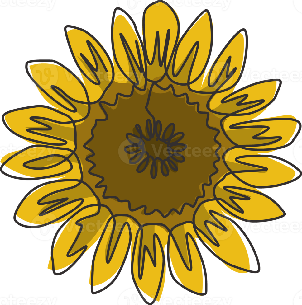 één enkele lijntekening van schoonheids verse zonnebloem voor tuinembleem. afdrukbare decoratieve helianthus zomerbloem concept muur home decor poster. moderne doorlopende lijn tekenen ontwerp vectorillustratie png