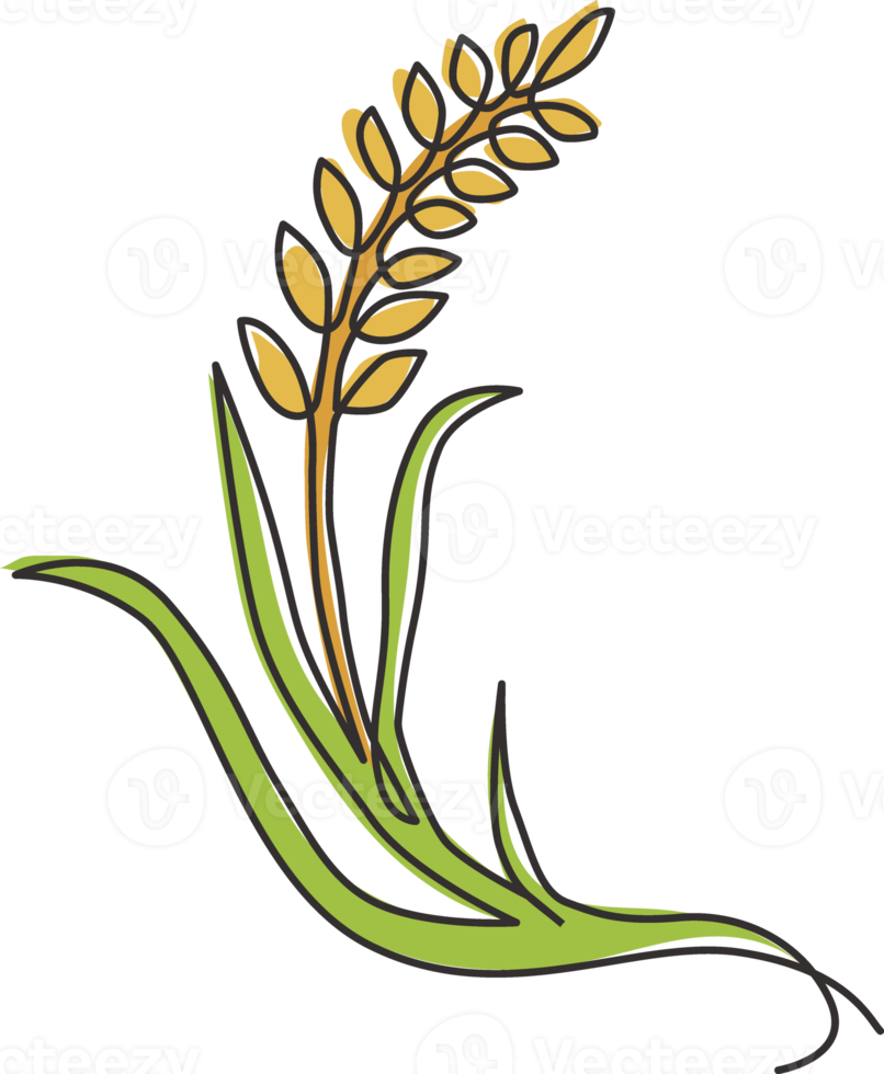 One single line drawing of whole healthy organic wheat grain for farm logo identity. Fresh staple food concept for breakfast cereal icon. Modern continuous line graphic draw design vector illustration png