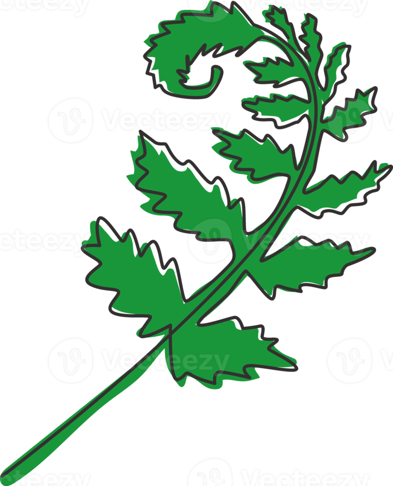 One single line drawing of cute tropical fern leaf plant. Printable decorative exotic houseplant concept for home wall decor ornament. Modern continuous line draw graphic design vector illustration png