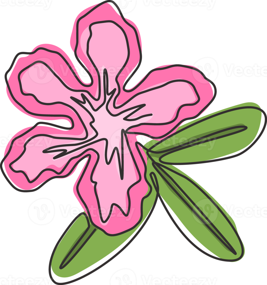 en enda linjeteckning av färsk skönhetsadenium för trädgårdslogotyp. utskrivbar affisch dekorativ ökenrosa blommor koncept hem väggdekoration. modern kontinuerlig linje rita design vektorgrafisk illustration png