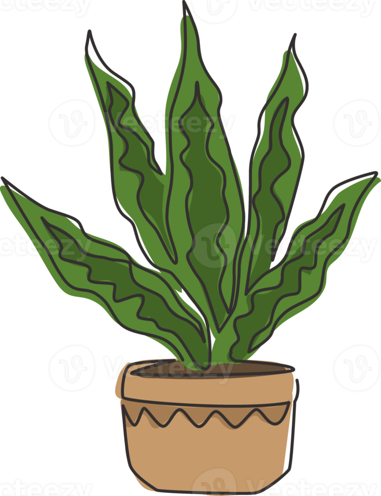 een doorlopende lijntekening van ingemaakte slangenplant voor de identiteit van het huisdecorlogo. vers groenblijvend meerjarig plantconcept voor plantpictogram. moderne enkele grafische lijn tekenen ontwerp vectorillustratie png